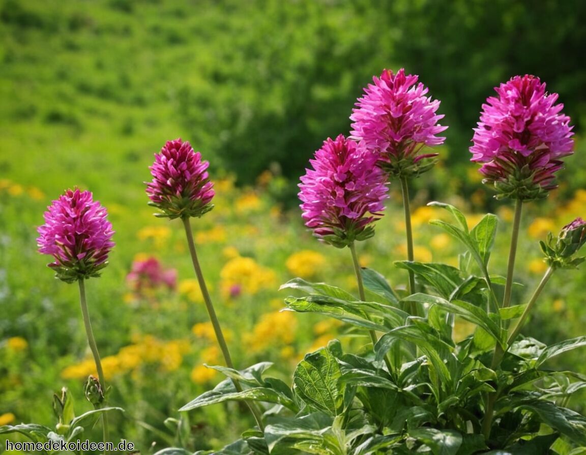 Kombination mit natürlichen Pflanzen - Frischer Wind für den Frühling - diese Pflanzen sind im Trend