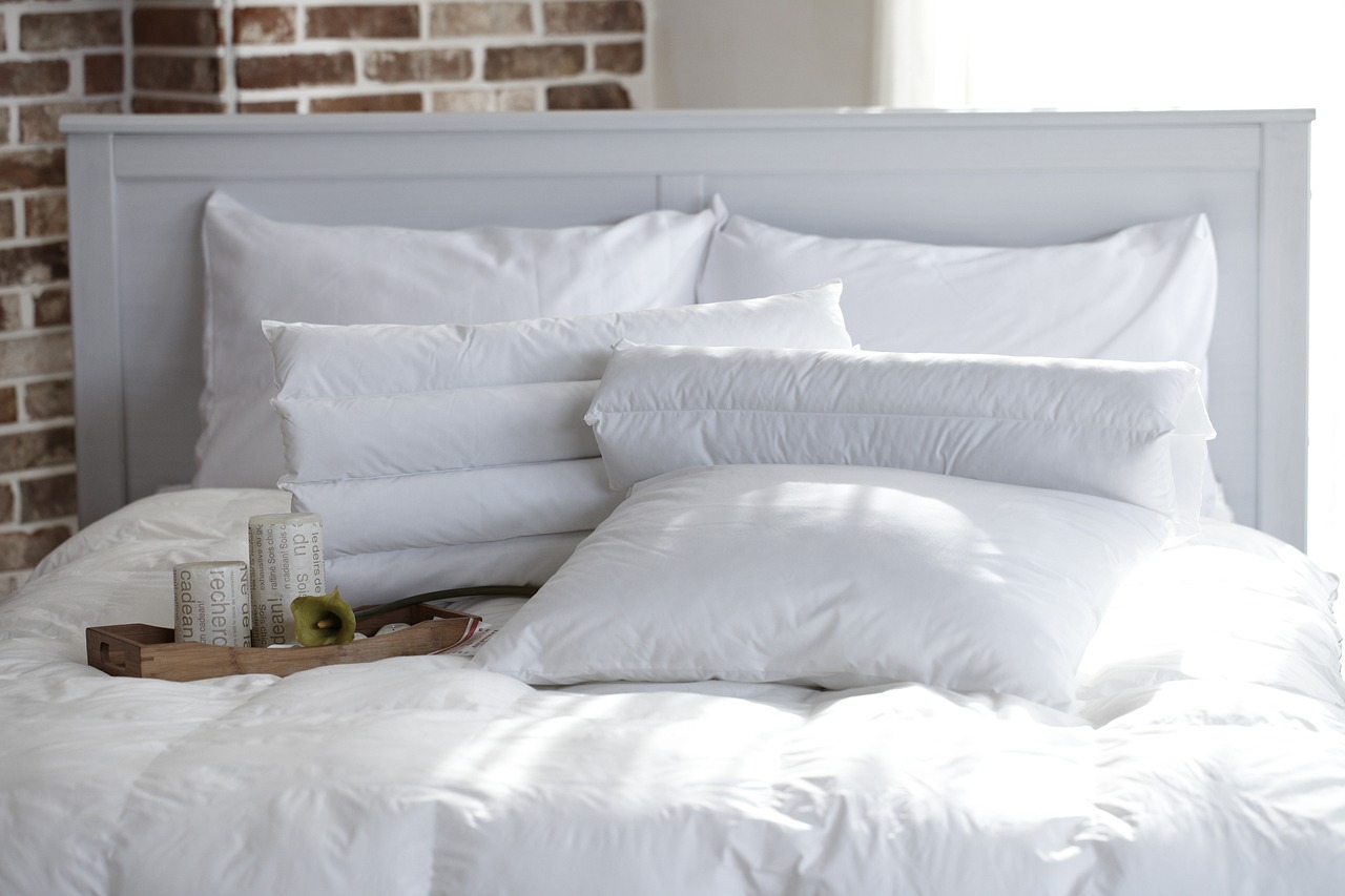 pillow, bedroom, dragonfly, bedding, pillow, pillow, pillow, pillow, pillow, bedroom, bedroom, bedroom, bedroom, bedding
